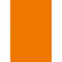 Laminuota medžio drožlių plokštė 132 BS Orange
