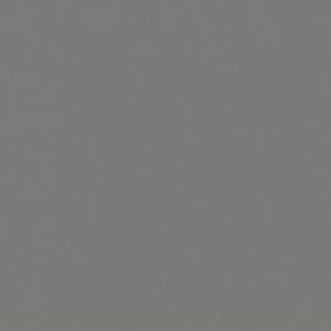 EGGER Pilka, dulkių, pusiau matinė * U732 ST9 10mm