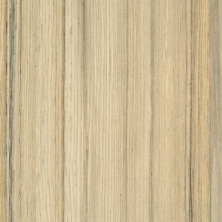 KRONOSPAN Koko Bolo 8995 SN 18mm